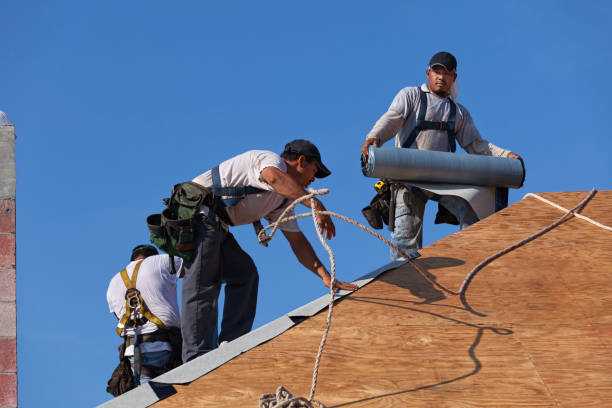 Best Roof Gutter Cleaning  in Salida, CA